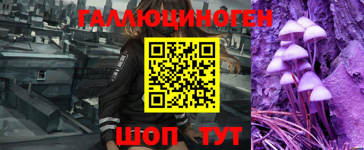 Псилоцибиновые грибы Psilocybine cubensis  Электрогорск 