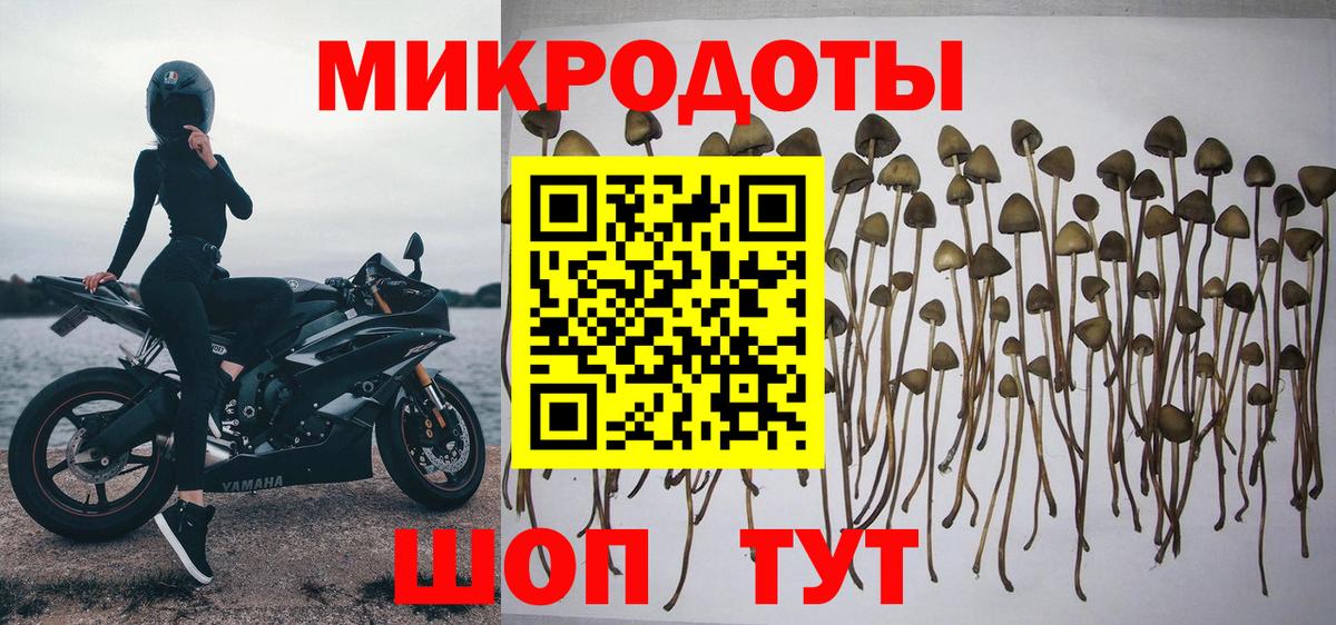 Галлюциногенные грибы MAGIC MUSHROOMS Электрогорск
