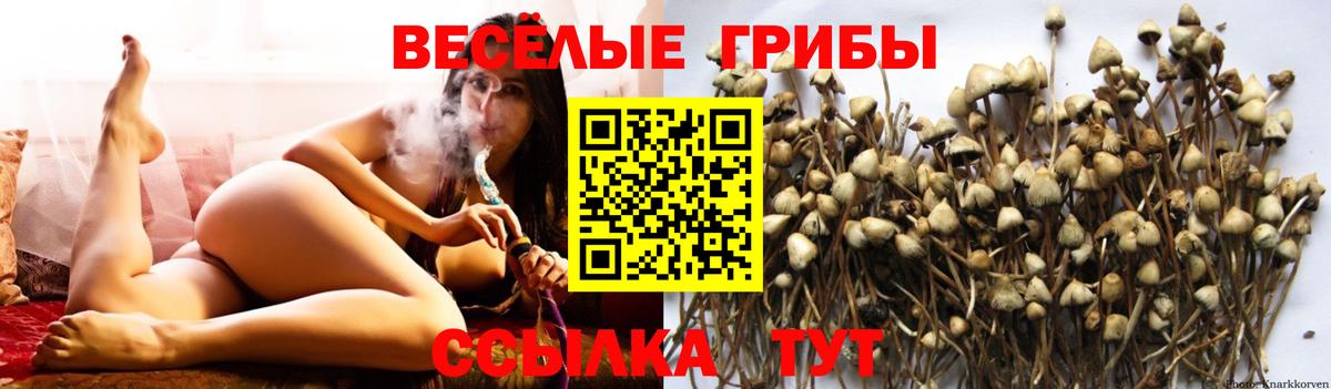 Электрогорск  Галлюциногенные грибы мицелий  Вход с VPN 
